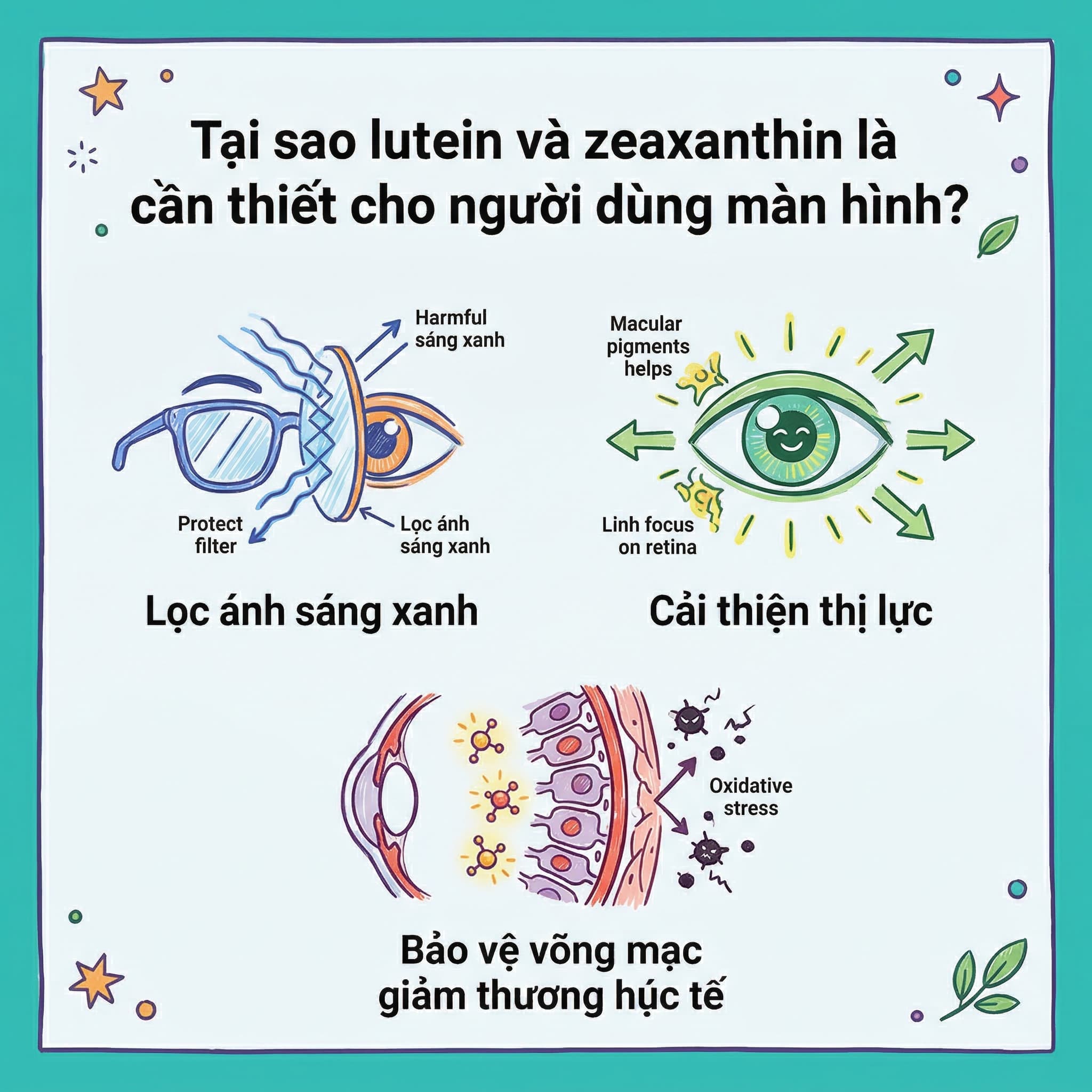 Tại sao lutein và zeaxanthin là cần thiết cho người dùng màn hình?